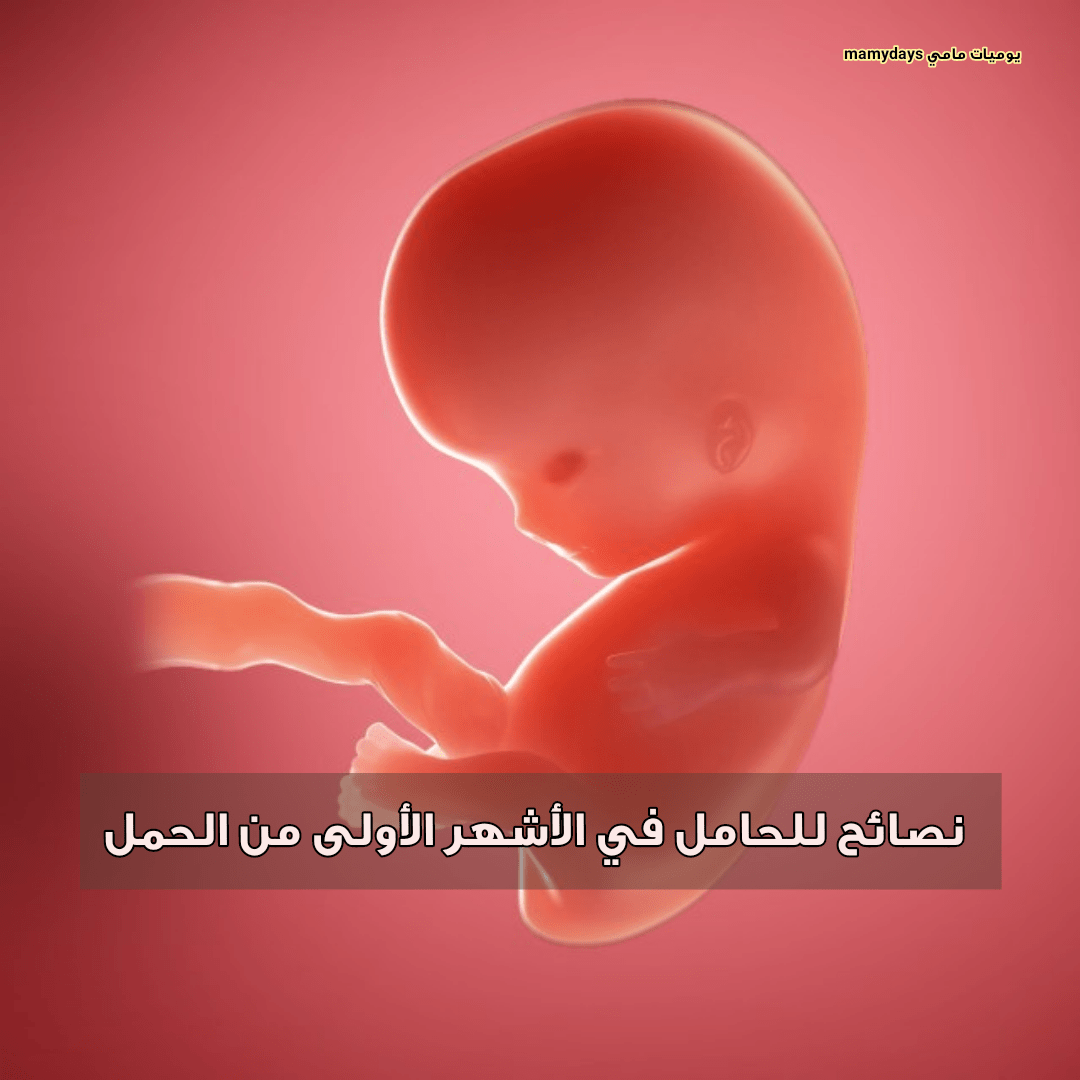 نصائح للحامل في الأشهر الأولى من الحمل يوميات مامي Mamydays